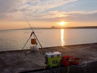 大浜サビキ、大撃沈！