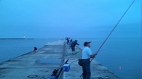 夏到来、金沢港、大浜サビキング！