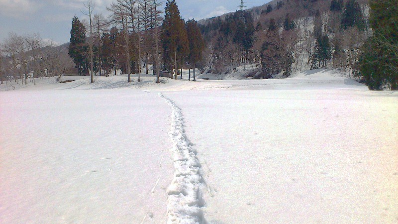 雪山登り