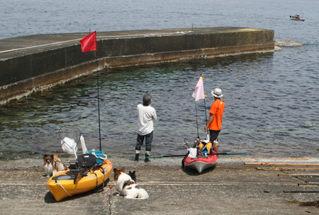 福井釣行20100522