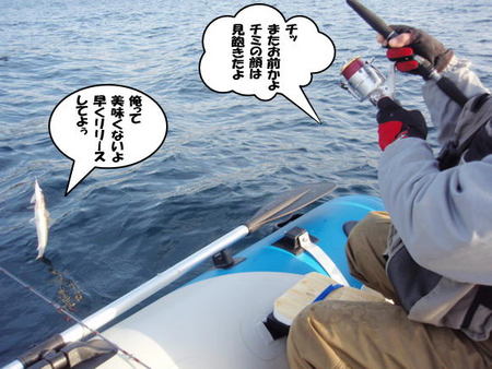 三重釣行20101219（おやぢのリハビリ釣行）