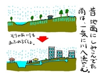 雨水物語②