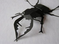 紙のクワガタ