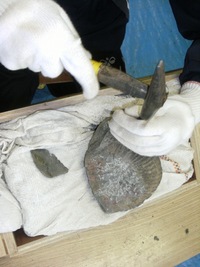 三笠市立博物館で化石堀体験で子供達は夢中！