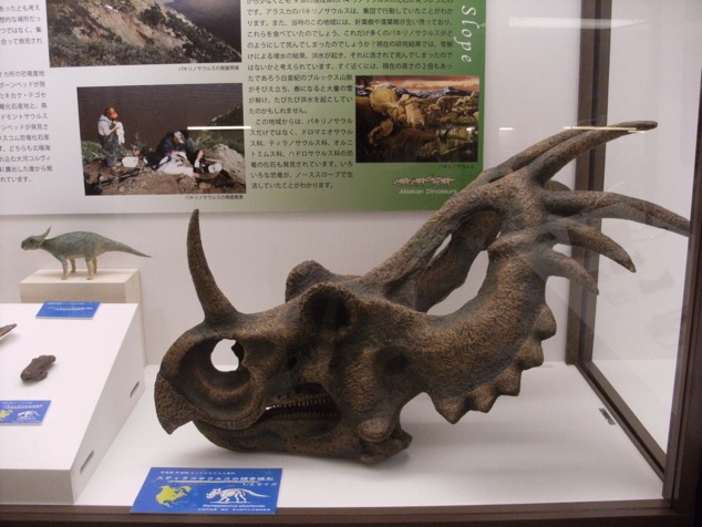 北海道大学総合博物館