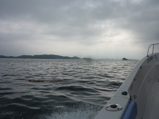 ひとつテンヤ マダイ IN 仙台湾