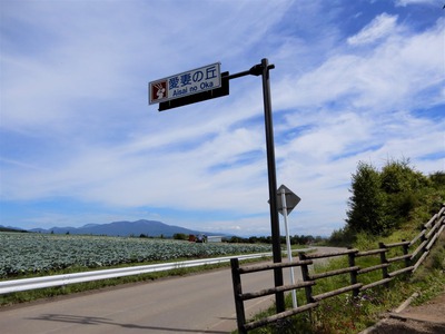 愛妻の丘・ソロだから愛は叫べないけど ～つまごいパノラマラインの絶景～ 嬬恋キャンプ場デビュー[7]