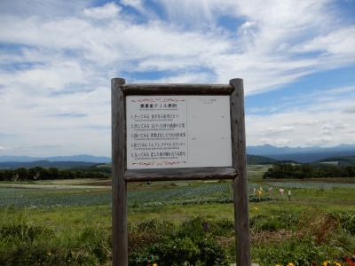 愛妻の丘・ソロだから愛は叫べないけど ～つまごいパノラマラインの絶景～ 嬬恋キャンプ場デビュー[7]