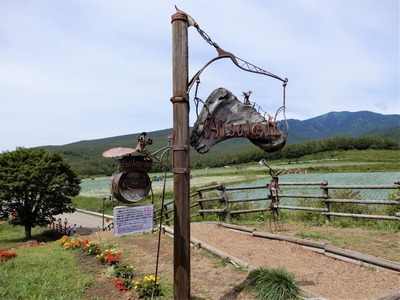 愛妻の丘・ソロだから愛は叫べないけど ～つまごいパノラマラインの絶景～ 嬬恋キャンプ場デビュー[7]