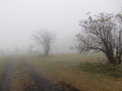 ツンデレフィールドキャンプ場～濃霧から心惹かれる絶景に「態度」を変える内山牧場～