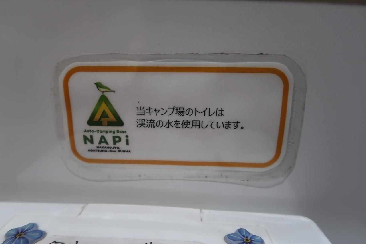 朝日を見た「裏NAPiの森」は原生林 & カレーおでん→チーズon→…を朝飯に ～もみぢの絨毯・微睡の森NAPi[6]～