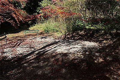 NAPiの森の隠れ家的新サイト・ Kサイトの紅葉　～もみぢの絨毯・微睡の森NAPi[2]～