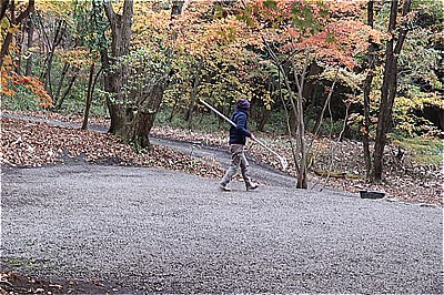 朝日を見た「裏NAPiの森」は原生林 & カレーおでん→チーズon→…を朝飯に ～もみぢの絨毯・微睡の森NAPi[6]～