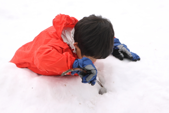 雪を求めてSGへ♪ 1月25日〜26日