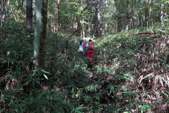 掃部ヶ岳 ～ くりの木キャンプ場 10月3日～4日 登山編