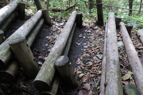 掃部ヶ岳 ～ くりの木キャンプ場 10月3日～4日 登山編