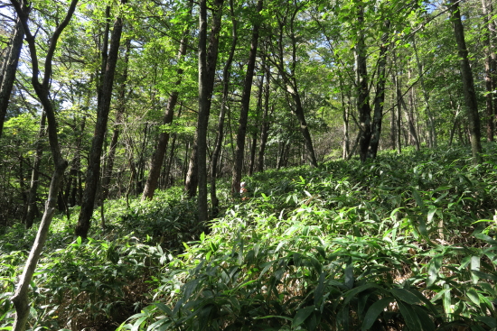 掃部ヶ岳 ～ くりの木キャンプ場 10月3日～4日 登山編