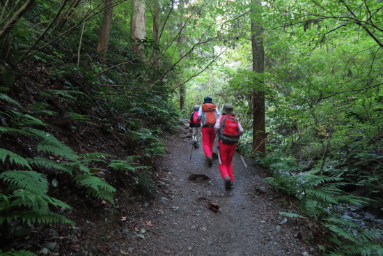 高尾山登山 10月12日