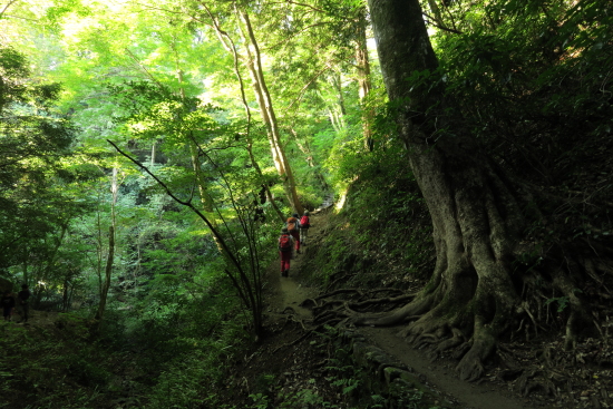 高尾山登山 10月12日