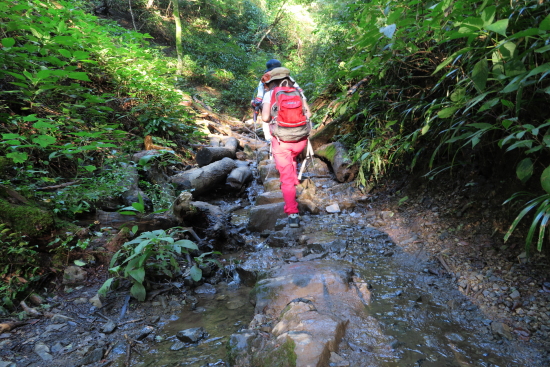 高尾山登山 10月12日