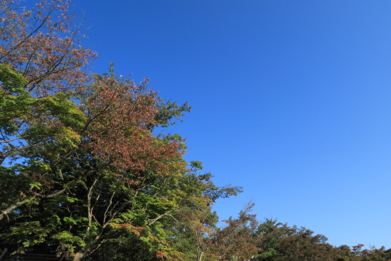 高尾山登山 10月12日