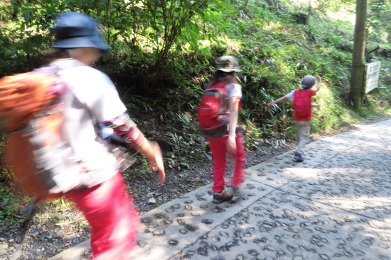 高尾山登山 10月12日