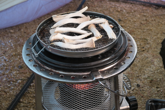 年越しキャンプ 12月30日～1月4日 その5