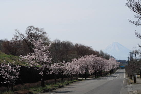 キャンピカ明野　4月8日～10日