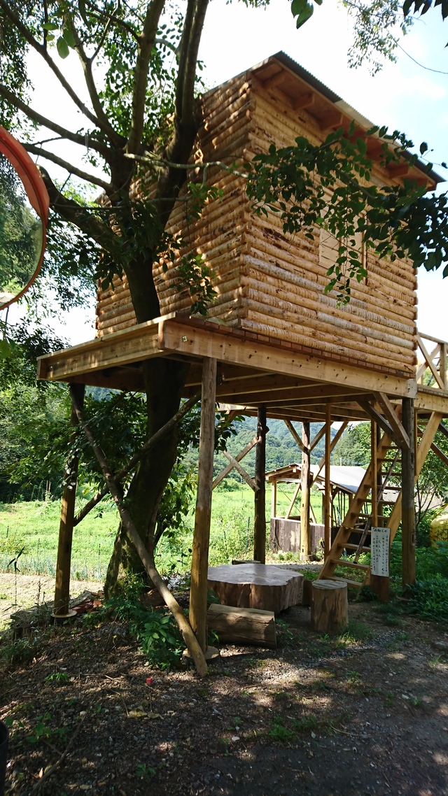 東温市松瀬川のツリーハウス