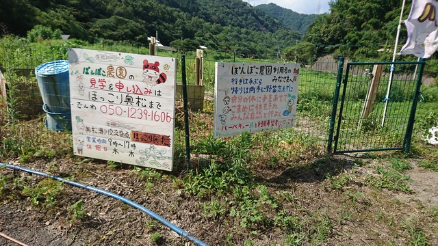東温市松瀬川のツリーハウス
