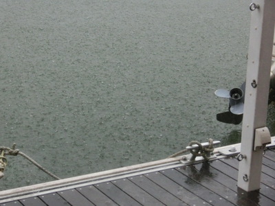 またまた雨でした