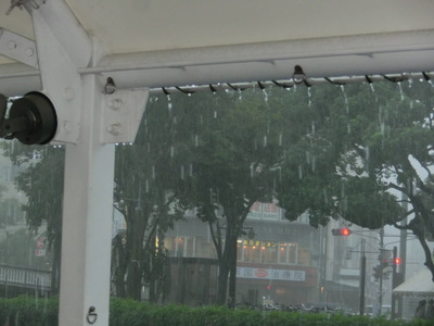 またまた雨でした