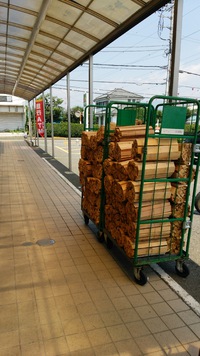 青野原でサプライズキャンプ 2015/07/17 14:05:13