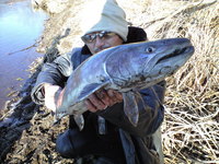 感謝 2008/12/08 12:40:05