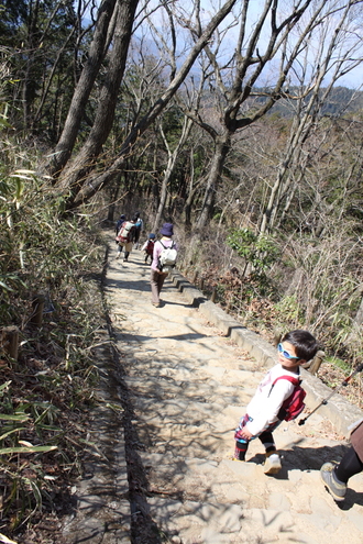 軟弱キャンパー山へ行く　高尾山～小仏城山　４／８