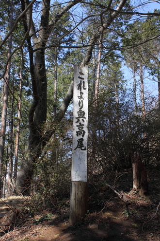 軟弱キャンパー山へ行く　高尾山～小仏城山　４／８