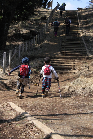 軟弱キャンパー山へ行く　高尾山～小仏城山　４／８