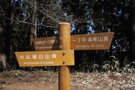 軟弱キャンパー山へ行く　高尾山～小仏城山　４／８