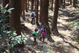 軟弱キャンパー山へ行く　高尾山～小仏城山　４／８