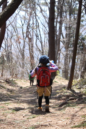 軟弱キャンパー山へ行く　高尾山～小仏城山　４／８