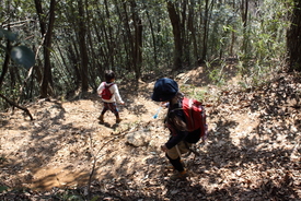 軟弱キャンパー山へ行く　高尾山～小仏城山　４／８