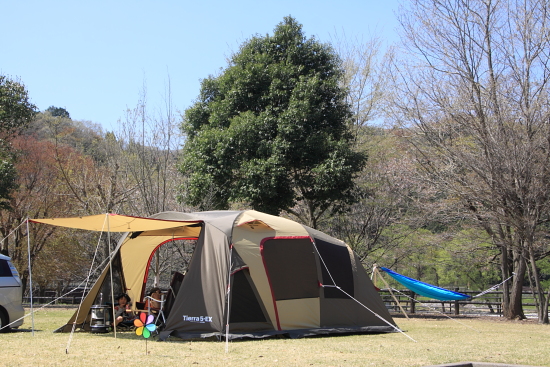 出会いの森で再会♪　4月13日～14日