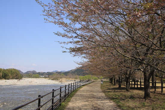 出会いの森で再会♪　4月13日～14日