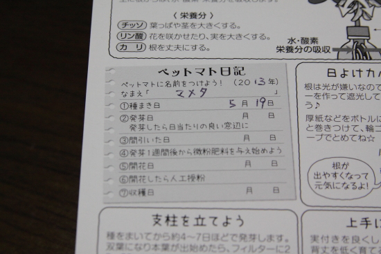 マメタ誕生！