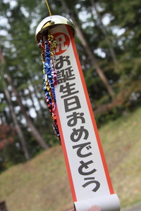 バースデイキャンプ IN キャンピカ明野 10月19日～20日