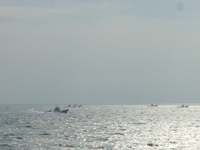 渋ヶ浜 2010/05/13 06:30:11
