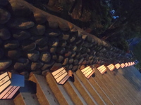 法多山ホタルまつり 2011/06/06 23:34:03