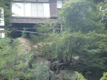 ごほうび温泉 （関東甲信越②）