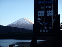 クニマス釣り 2010/12/20 06:04:22
