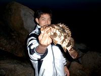 ［過去レポ］2000/06/11(日)　牡鹿半島狐崎釣行
